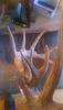Click image for larger version. 

Name:	rack2.jpg 
Views:	43 
Size:	58.3 KB 
ID:	10803