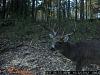 Click image for larger version. 

Name:	SUNP0663.jpg 
Views:	11 
Size:	95.3 KB 
ID:	9356